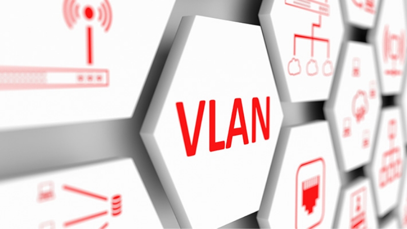 VLANとは？種類の特徴や導入のメリットなどを解説