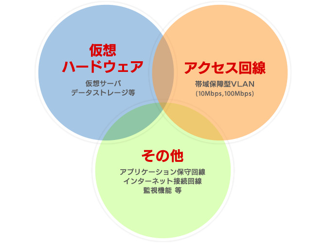 仮想ハードウェア：仮想サーバーデータストレージ等、アクセス回線：帯域保障型VLAN（10Mbqs、100Mbqs）、その他：アプリケーション保守回線・インターネット接続回線・監視機能等