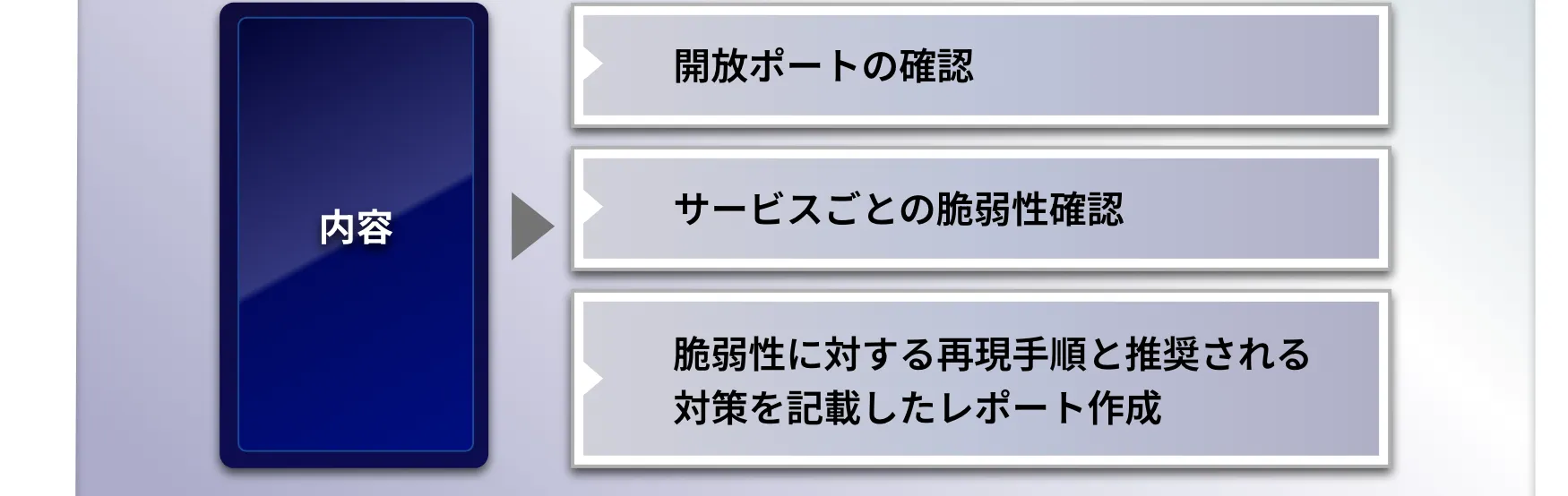 内容：開放ポートの確認、サービスごとの脆弱性確認、脆弱性に対する再現手順と推奨される対策を記載したレポート作成