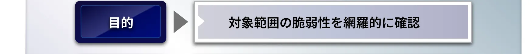 目的：対象範囲の脆弱性を網羅的に確認