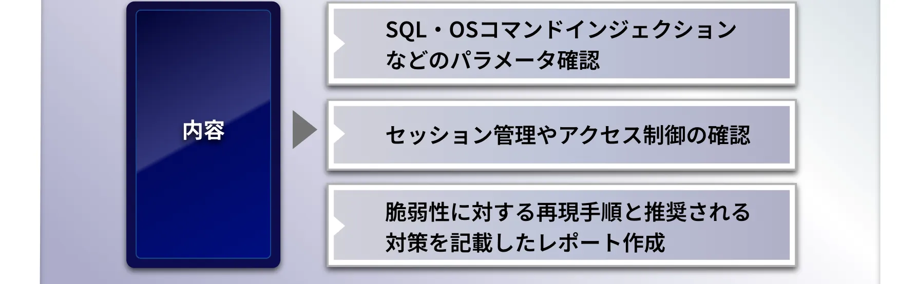 内容：SQL・OSコマンドインジェクションなどのパラメータ確認、セッション管理やアクセス制御の確認、脆弱性に対する再現手順と推奨される対策を記載したレポート作成