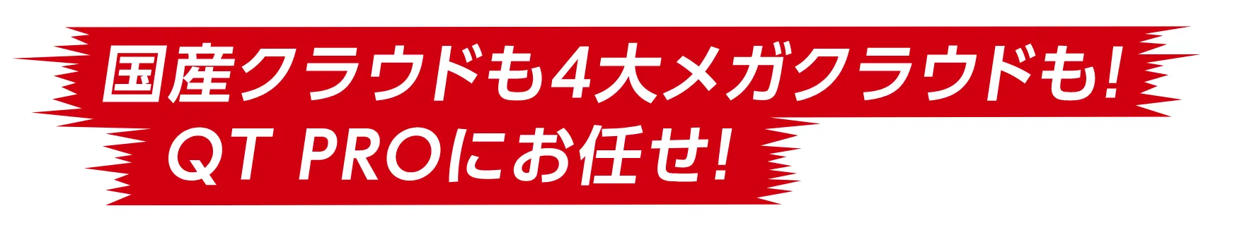 国産クラウドも4大メガクラウドも！Qt Proにお任せ！